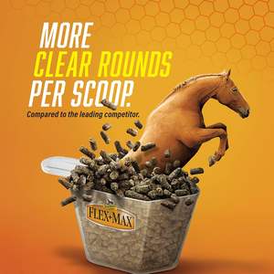 ISO9001 Certified Flex+Max <strong>Horse</strong> Joint Supplement Pellets,Comprehensive Equine Formula with <strong>Glucosamine</strong>,MSM,Chondroitin&amp;Flaxseed - Product Image 4