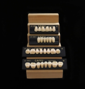 Dents synthétiques en résine acrylique antérieure supérieure à deux couches, certifiées CE/ISO, multi-tons - Product Image 5