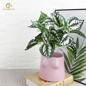 Corps de femmes <span class=keywords><strong>sexy</strong></span> et mat personnalisé moderne pot de fleurs en céramique pour la décoration de la maison - Product Image 3