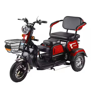 Tricycle électrique à 3 roues pour adultes 600W 48V Batterie au lithium Cadre en acier 3 vitesses - Product Image 2