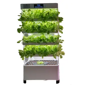 Indoor Multi-layers Vertical Automatic Intelligent Hydroponic Leafy vegetable strawberry LED Planting machine