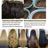 Extension de Cheveux Humains Bruts du Vietnam, Queue de Cheval Blonde à Enrouler et Clipser