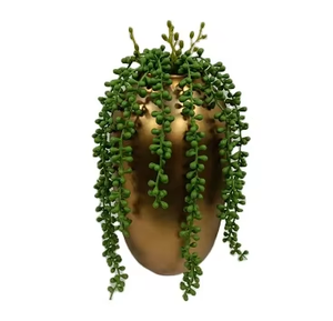 Nuova perla sintetica succulenta artificiale <span class=keywords><strong>in</strong></span> <span class=keywords><strong>vaso</strong></span> dorato, <span class=keywords><strong>vaso</strong></span> succulento artificiale perla succulenta <span class=keywords><strong>in</strong></span> <span class=keywords><strong>vaso</strong></span> - Product Image 1