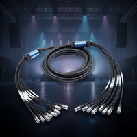 Câble Ethernet blindé multicouche Cat5e RJ45 pour audio, 4/6 canaux, certifié CE, 40 cm, audio analogique