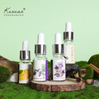 Huile essentielle de 10 ml pour diffuseur d'aromathérapie, huile à pipette, parfum floral et fruité pour aromathérapie, désodorisant d'air en pierre