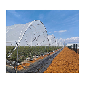 Grande tente <span class=keywords><strong>de</strong></span> serre à une seule couche <span class=keywords><strong>abri</strong></span> <span class=keywords><strong>de</strong></span> pluie en plastique hydroponique pour la culture <span class=keywords><strong>de</strong></span> plants <span class=keywords><strong>de</strong></span> tomates poly imperméable à faible coût pour - Product Image 1