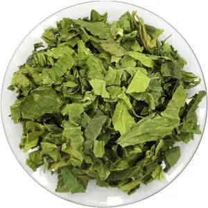 Natural Mulberry Leaf Herbal Tea Dried Folium Mori Slimming Tea Factory Supply