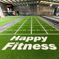PilotSports – Tapis d'entraînement fonctionnel personnalisé OEM pour gym, en PE, avec motif imprimé sur mesure, pour fitness intérieur, gazon artificiel
