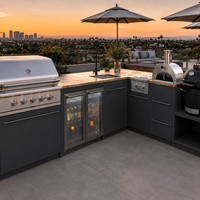 Cuisine barbecue extérieure  et station de grill pour villas Four électrique encastré sur mesure et gril en acier inoxydable