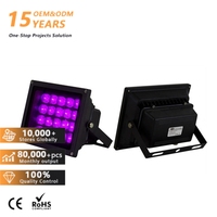 Projecteur LED UV pour décoration de fête 50W 100W 200W, lumière noire violette avec prise, 405NM 365NM 395NM