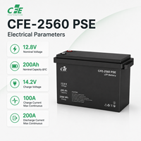 Batterie LiFePO4 LFP CFE-2560 PSE 12,8V 200Ah avec BMS IP65, 3000 cycles, pour onduleur SMA, systèmes solaires hors réseau