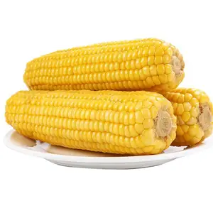 New Crop Fresh Sweet Corn with Customized OEM Fresh Corn Frozen Corn Export