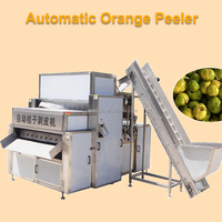 Industriële Hoge Kwaliteit Automatische Appelpeer Sinaasappelschiller Perzik Schilmachine