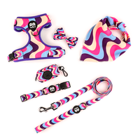Impression personnalisée Polyester Pet Bow Accessoire Été Hiver Printemps Collier de Chien Noeud Papillon avec Caractéristique Amovible