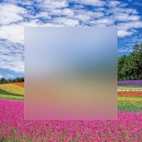 Hot Sale Pastell rosa Acryl platte gefrostet matt gefärbte Pastell Acryl platte für Dekor