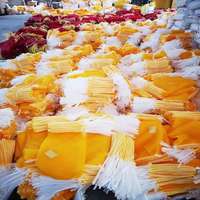 Pabrik Cina Grosir 25Kg 50Kg Kemasan Buah Net Tanggal Panen Tas Jala