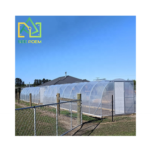 Serre tunnel en polyéthylène à cadre en aluminium 3x12m, petit modèle, pour jardin, prix usine, matériau PE compétitif - Product Image 3