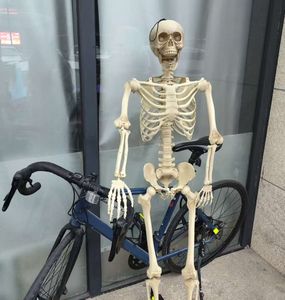 Esqueleto Humano Gigante de 60 Polegadas em Tamanho Real para Decoração de Halloween com Juntas Posicionadas - Product Image 2