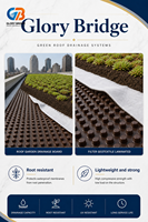 Planche de drainage en HDPE brun alvéolé, durable et populaire, pour drainage souterrain, avec prix d'usine
