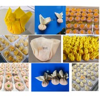 Machine à wontons commerciale personnalisée neuve fournie par l'usine, machine à wontons automatique à grande vitesse, moteur en acier inoxydable SUS304