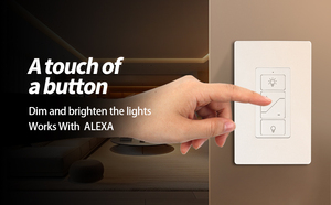 שלנו תקן dimmer 110v/120v שלט עבור 1 אורות בקרת ערכת מתג אלחוטית הוביל עם 300w מקלט לחדר הוביל/מנורה - Product Image 4