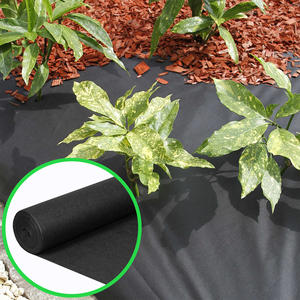 Malla Antihierbas de PP Negra de 60 g/m², 3.2x100 m, Biodegradable para Jardines y Agricultura con Servicio de Corte, Marca <span class=keywords><strong>ENON</strong></span> - Product Image 3