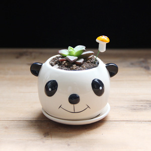 Vaso per Piante Grasse, Piccola Paperella Gialla, Orsetto, Vaso in Ceramica, Mini Vaso Creativo a Forma di Cartone Animato per Coltivazione Indoor - Product Image 5
