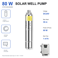 Produsen Pompa Sekrup Sumur Bor Tenaga Surya QY OEM 3 Inci 24V 80W 30m Head dengan Pengontrol MPPT