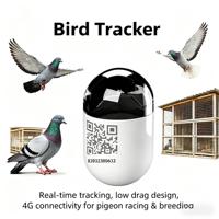 Mini traceur GPS en temps réel pour oiseaux, étanche, bague pour pigeon, réseau 4G GSM, localisateur de trajectoire Android/iOS, en plastique durable, LBS