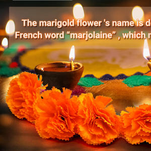 Flores artificiales <span class=keywords><strong>de</strong></span> 9cm <span class=keywords><strong>de</strong></span> diámetro, Clavel y caléndula, corona <span class=keywords><strong>de</strong></span> pared <span class=keywords><strong>de</strong></span> seda, accesorios, Sección <span class=keywords><strong>de</strong></span> arreglo floral <span class=keywords><strong>de</strong></span> salón - Product Image 6