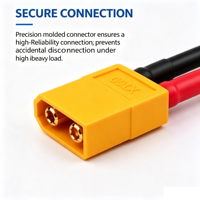 Câbles de haute performance 600V avec connecteurs XT60 XT90, gaine en silicone PBT IP66, conducteurs en cuivre étamé à 2 fils
