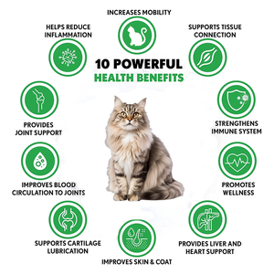 Suplemento de Cúrcuma y Curcumina <span class=keywords><strong>para</strong></span> la Salud Articular de <span class=keywords><strong>Perros</strong></span> y Gatos, Lubricante <span class=keywords><strong>para</strong></span> Articulaciones con Almeja de Labio Verde, Venta Internacional, 120 Cápsulas Blandas en Stock - Product Image 5