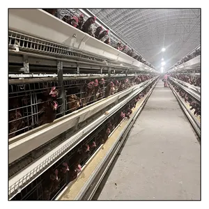 Hot Sale Galvanized H Type Egg Laying Hens Farming Chicken Layer Battery Cage For Chicken Automatic Farming Equipment