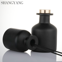 Diffuseur de parfum populaire 100ml 150ml 250ml noir mat sans alcool longue durée avec bâtonnets en fibre noire pour la maison