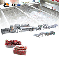 Sus 304 Cherry Tomaat Steelverwijderaar Fruit Sorteermachine Aardbei/Bosbes Sorteermachine Spuitfruit Reinigingslijn