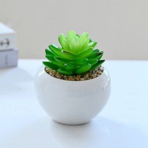 Bonsái Suculento de Cerámica Ecológico de Alta Simulación, Adornos Decorativos para el Hogar, Plantas Artificiales de Jinhua, <span class=keywords><strong>AliExpress</strong></span> - Product Image 5