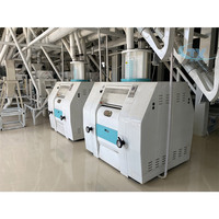 100 Machine de fraisage de farine de maïs TPD ensembles complets de ligne de Production