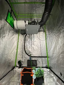 Growing house kit <strong>60x60</strong> <strong>tent</strong> indoor plant grow bags growing mushroom kit indoor plant grow <strong>tent</strong>