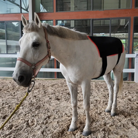 Tapis de luminothérapie rouge pour le dos des chevaux, grande taille, design enveloppant, pour la santé de la taille et de la colonne vertébrale, rechargeable, double alimentation