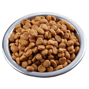 Small capacity new investment dog pet treats food feed pellet making machine kibble dog food machine belt dryer