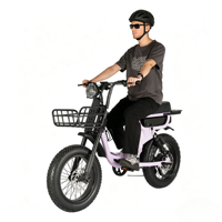Vélo électrique tout-terrain personnalisable OEM ODM V20 avec suspension intégrale, pneus larges de 20 pouces, cadre en alliage d'aluminium Bafang, étanche, 48V 250W SUNREMO