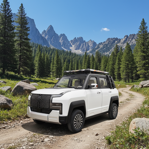 Venta Directa de Fábrica, NE NUEN-U9, Vehículo Eléctrico de Nueva Energía de Alta Calidad, Cuatro Plazas, Cinco Puertas, 50KM/H, Autonomía <100km - Product Image 1