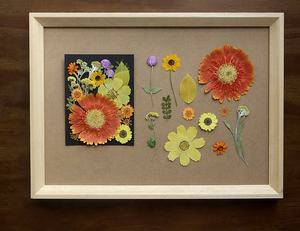 Lot <span class=keywords><strong>de</strong></span> 20 sachets mélange fleurs pressées fond <span class=keywords><strong>noir</strong></span> papier carte cadre <span class=keywords><strong>photo</strong></span> résine époxy <span class=keywords><strong>et</strong></span> fabrication <span class=keywords><strong>de</strong></span> bougies - Product Image 3