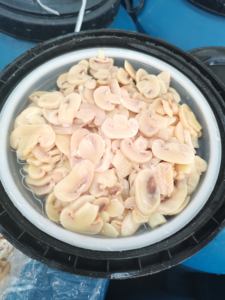 Fabrika doğrudan satış 2024 yeni üretim namlulu turşu mantar dilimleri 50kg - Product Image 2