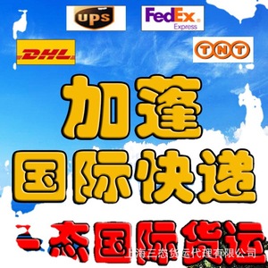 Envío Aéreo Exprés DHL FedEx UPS desde China a Sudáfrica e Indonesia, Mercancías Generales, Servicio de Entrega Rápida - Product Image 5
