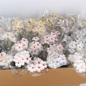 Bouquet de fleurs de violette séchées naturelles, Matériel artisanal floral DIY, Fleurs séchées multicolores pour arrangements floraux DIY - Product Image 1