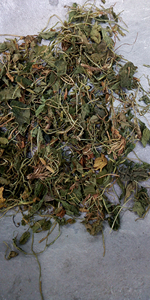 <span class=keywords><strong>Zi</strong></span> Hua <span class=keywords><strong>Di</strong></span> Ding, plantes entières séchées brutes de Viola Philippica, non extraites, violet à fleurs violettes pour herbe médicinale - Product Image 4