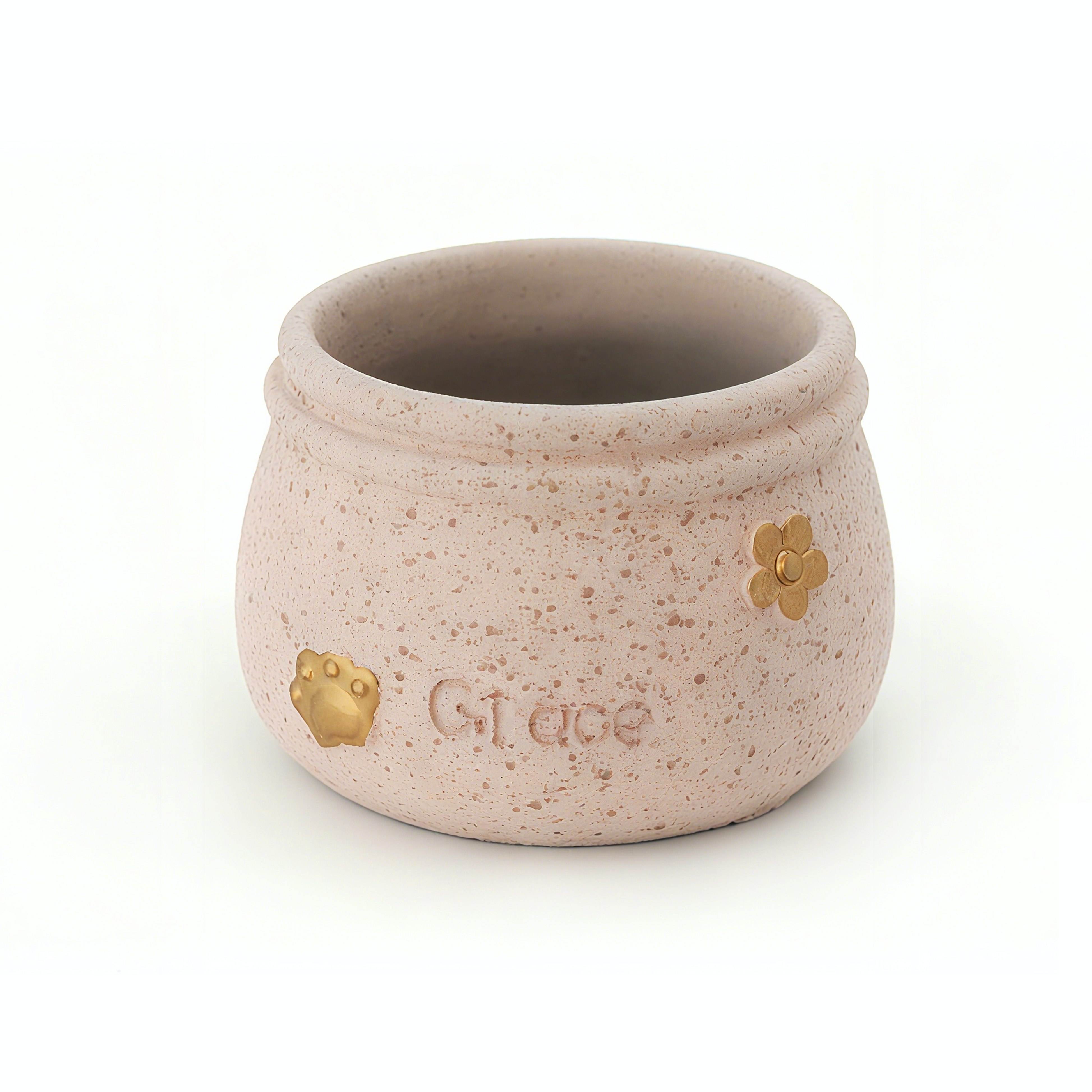 อุ้งเท้าแมว