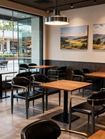 Ensemble de chaises de salle à manger en bois de luxe pour la maison, le commerce, le salon, la villa, l'hôtel, les banquets, les cafés et les restaurants