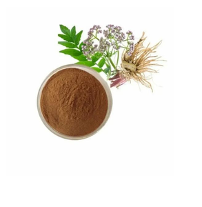 Extracto de Tagar en Polvo Herbal Natural, Extracto de Planta de Alta Calidad, Hierba Ayurvédica Tradicional para Bienestar y Suministro a Granel - Product Image 1
